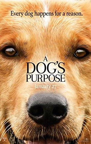 A Dog’s Purpose – Full Türkçe – Hd Kalite